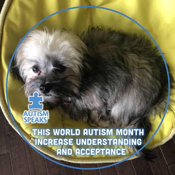 Meet your Posher, Denise - Picture 1 of 1